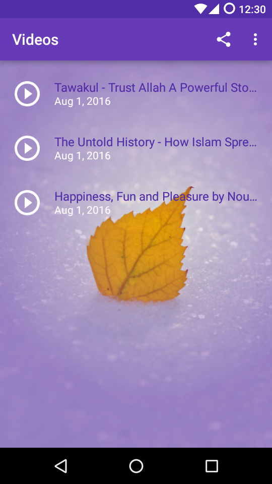 Screen Preview 2